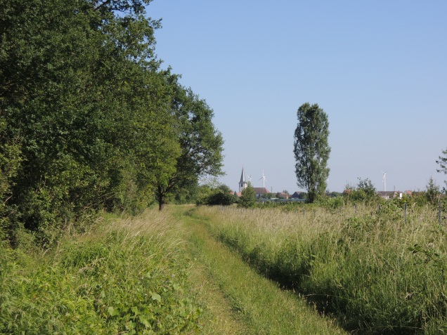 Blick über Felder nach Ottersheim